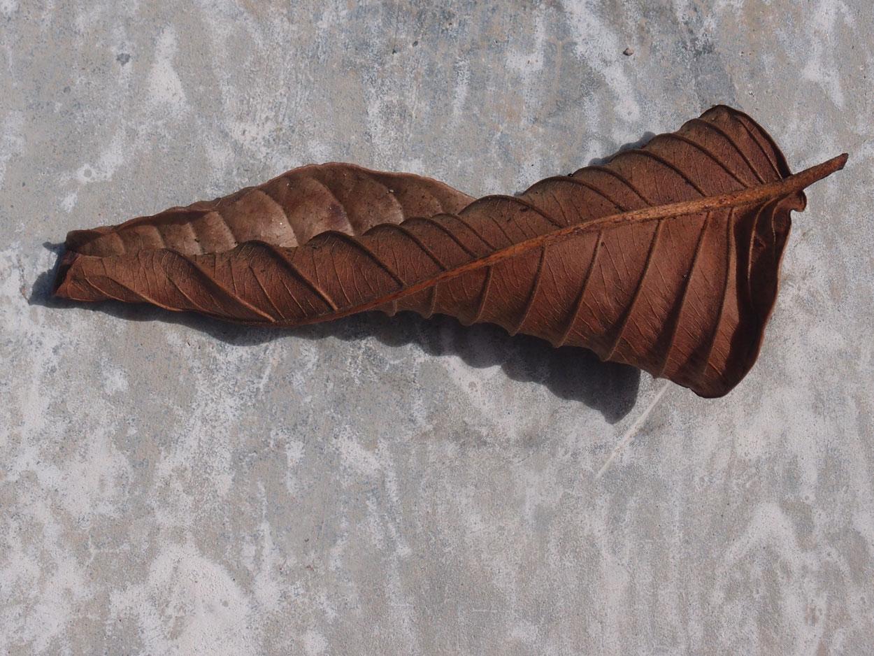 2016-01-22 02 Blick auf Rio (Foto)